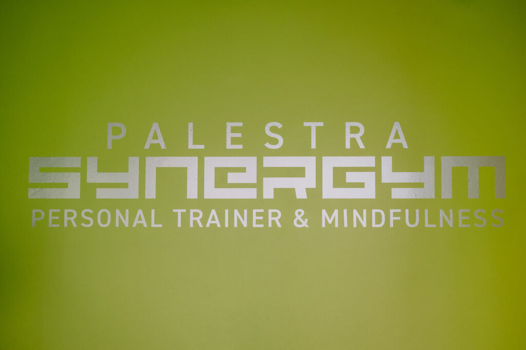 palestra synergym
