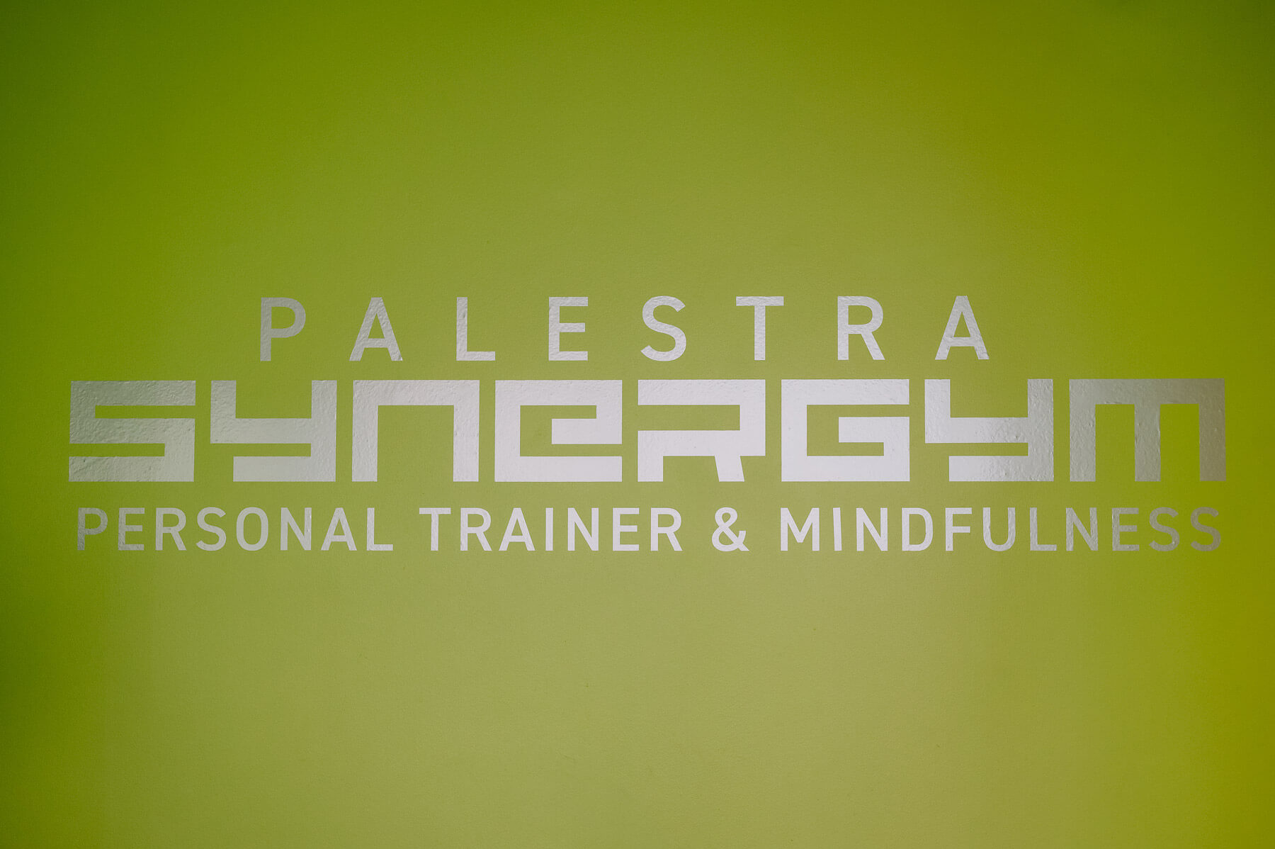 palestra synergym
